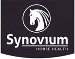 Synovium Horse Health