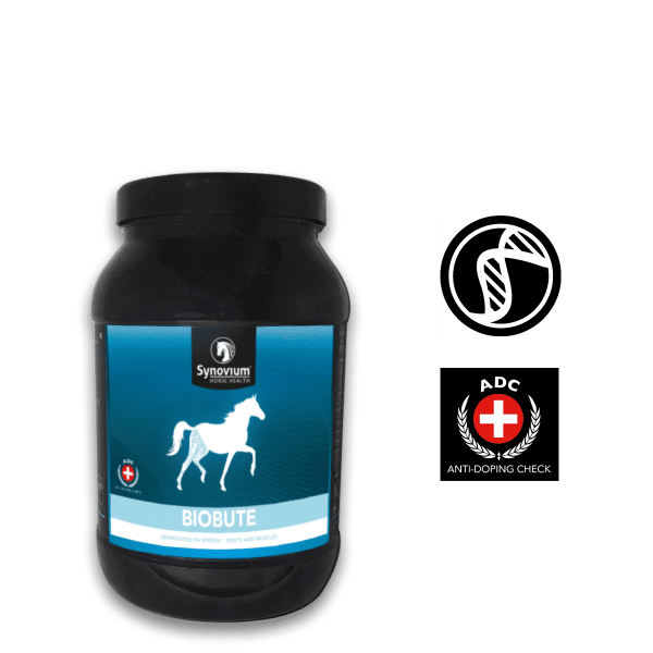 Synovium® Biobute - Synovium Horse Health