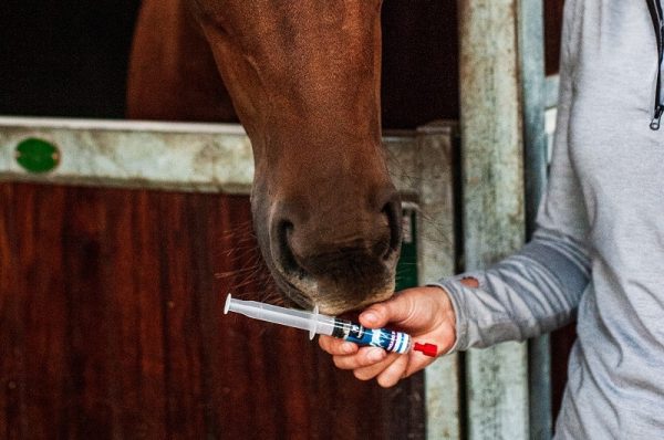 Horse calmer, Synovium calmingard syringe instant calmer