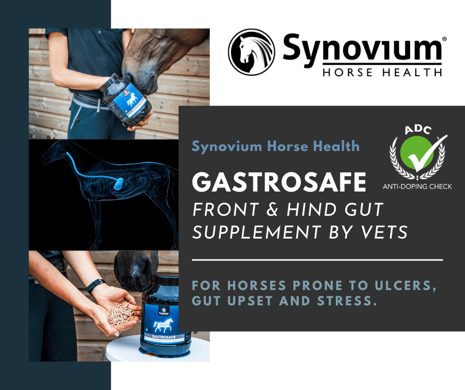 Synovium Gastrosafe horse ulcer treatment