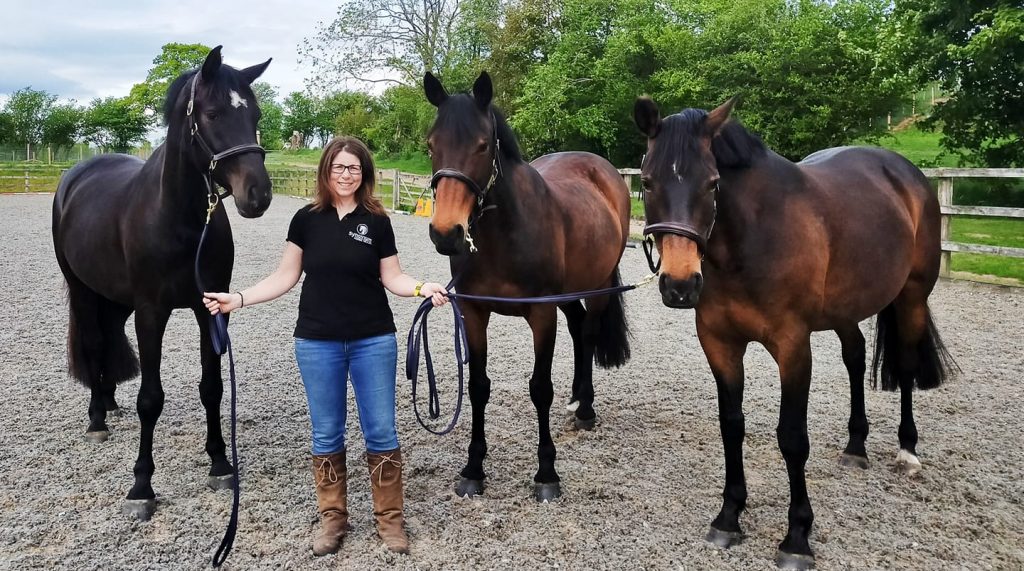 Gemma Dennis Showjumper Synovium Horse Supplements