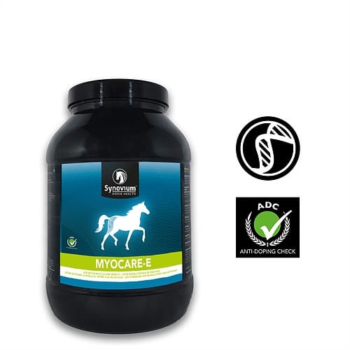 PSSM in Horses: Causes and Management - Synovium Horse Health