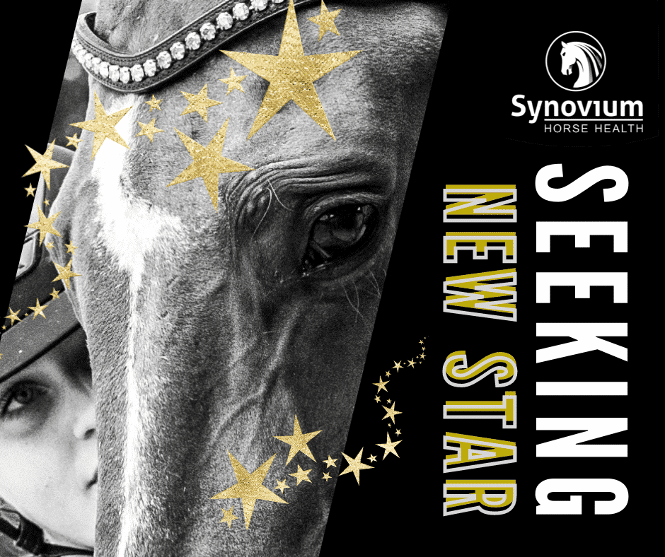 Synovium Horse Health Equine Star