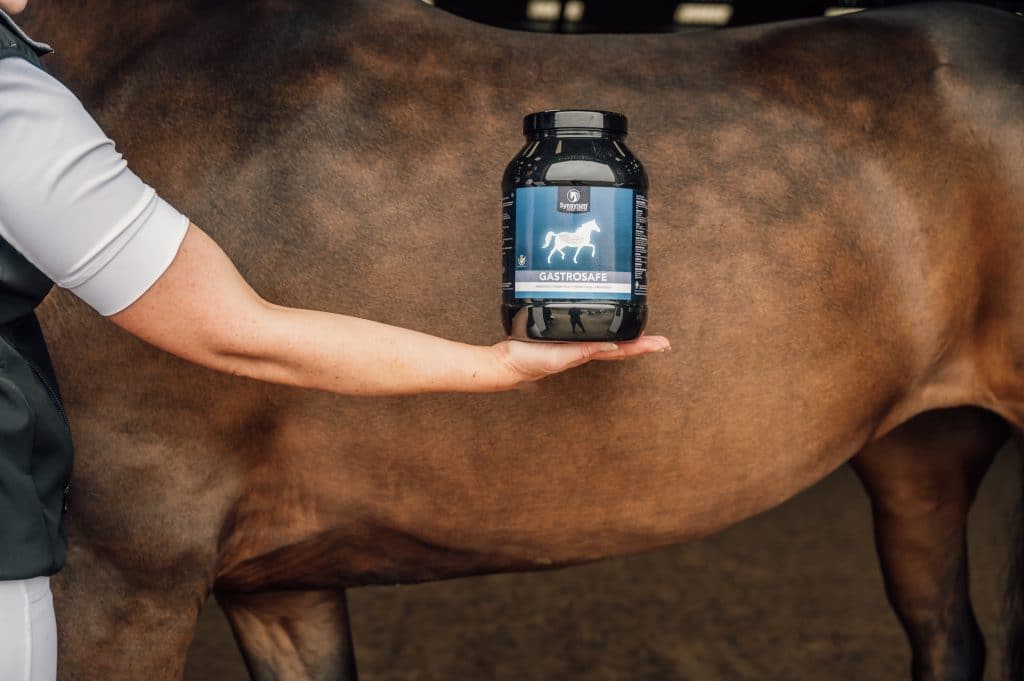 Pre and Probiotics for horses