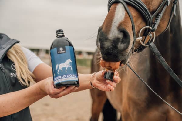 Synovium Airplus Liquid 940ml Respiratory supplement for horses